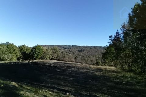 Landejendom i Penalva do Castelo, Viseu, Penalva do Castelo - € 17.500 | Ref: Q34 - foto 11