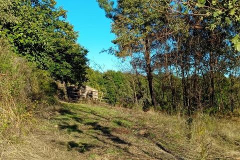 Landejendom i Penalva do Castelo, Viseu, Penalva do Castelo - € 17.500 | Ref: Q34 - foto 14