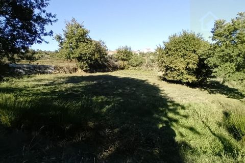 Landejendom i Penalva do Castelo, Viseu, Penalva do Castelo - € 17.500 | Ref: Q34 - foto 15