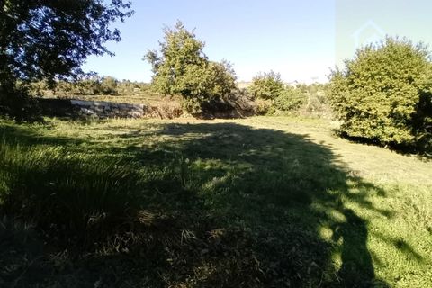 Landejendom i Penalva do Castelo, Viseu, Penalva do Castelo - € 17.500 | Ref: Q34 - foto 16