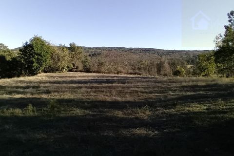 Landejendom i Penalva do Castelo, Viseu, Penalva do Castelo - € 17.500 | Ref: Q34 - foto 17