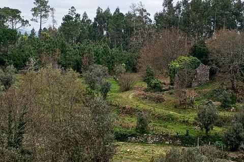 Villa i Mangualde, Viseu, Mangualde - € 30.000 | Ref: Q40 - foto 2
