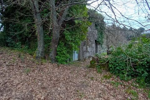 Villa i Mangualde, Viseu, Mangualde - € 30.000 | Ref: Q40 - foto 3