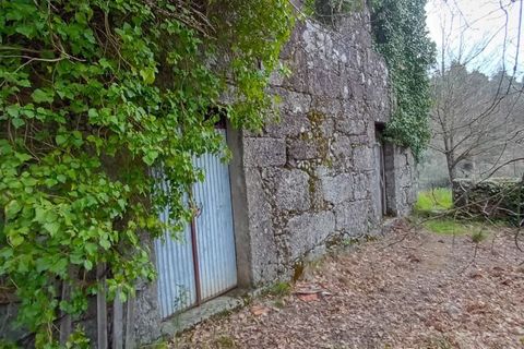 Villa i Mangualde, Viseu, Mangualde - € 30.000 | Ref: Q40 - foto 4