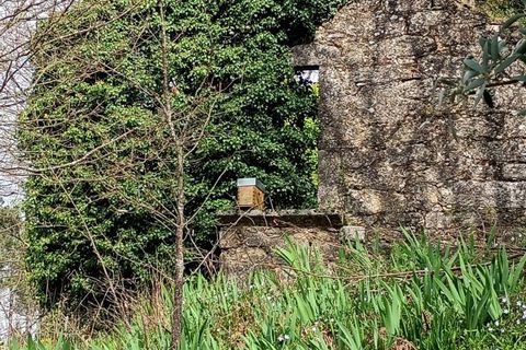 Villa i Mangualde, Viseu, Mangualde - € 30.000 | Ref: Q40 - foto 6