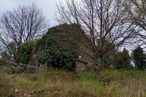 Villa i Mangualde, Viseu, Mangualde - € 30.000 | Ref: Q40 - foto 7