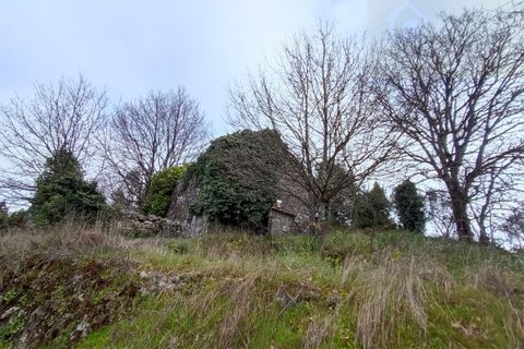 Villa i Mangualde, Viseu, Mangualde - € 30.000 | Ref: Q40 - foto 8
