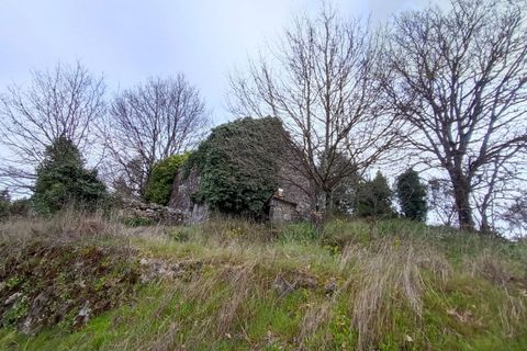 Villa i Mangualde, Viseu, Mangualde - € 30.000 | Ref: Q40 - foto 9