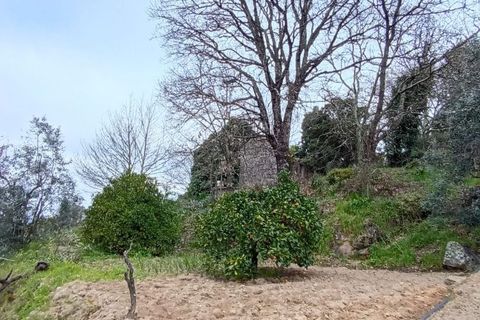 Villa i Mangualde, Viseu, Mangualde - € 30.000 | Ref: Q40 - foto 12