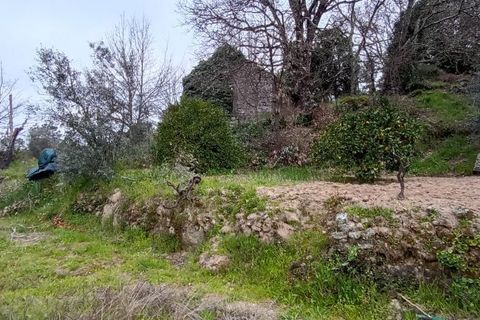 Villa i Mangualde, Viseu, Mangualde - € 30.000 | Ref: Q40 - foto 13