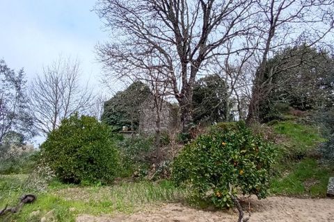 Villa i Mangualde, Viseu, Mangualde - € 30.000 | Ref: Q40 - foto 15