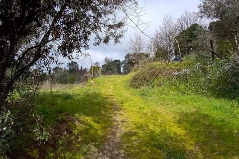 Villa i Mangualde, Viseu, Mangualde - € 30.000 | Ref: Q40 - foto 17