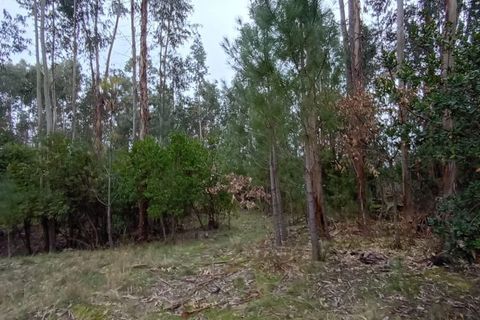 Villa i Mangualde, Viseu, Mangualde - € 30.000 | Ref: Q40 - foto 18