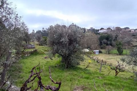 Villa i Mangualde, Viseu, Mangualde - € 30.000 | Ref: Q40 - foto 19