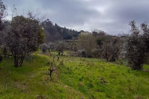Villa i Mangualde, Viseu, Mangualde - € 30.000 | Ref: Q40 - foto 20