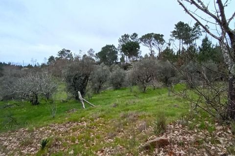 Villa i Mangualde, Viseu, Mangualde - € 30.000 | Ref: Q40 - foto 21