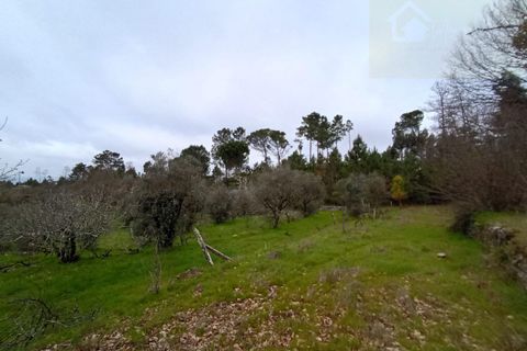 Villa i Mangualde, Viseu, Mangualde - € 30.000 | Ref: Q40 - foto 22