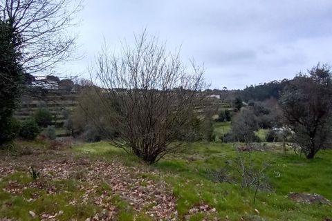 Villa i Mangualde, Viseu, Mangualde - € 30.000 | Ref: Q40 - foto 23
