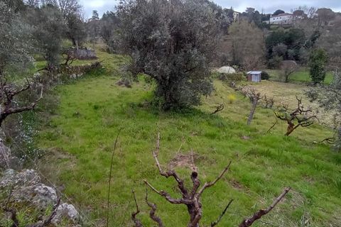 Villa i Mangualde, Viseu, Mangualde - € 30.000 | Ref: Q40 - foto 25