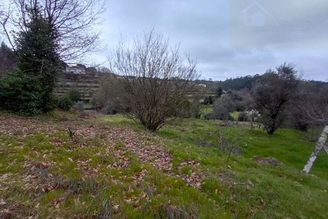 Villa i Mangualde, Viseu, Mangualde - € 30.000 | Ref: Q40 - foto 26