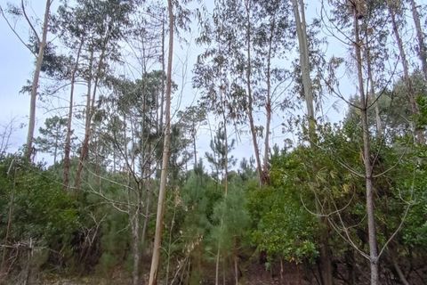 Villa i Mangualde, Viseu, Mangualde - € 30.000 | Ref: Q40 - foto 27