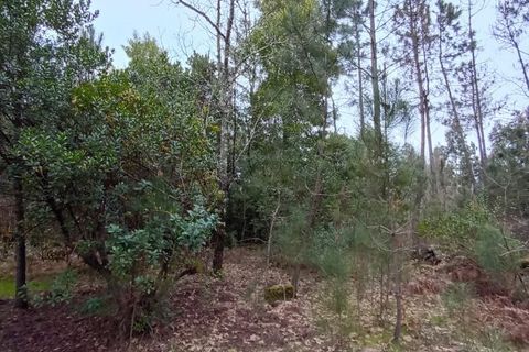 Villa i Mangualde, Viseu, Mangualde - € 30.000 | Ref: Q40 - foto 28