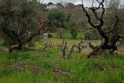 Villa i Mangualde, Viseu, Mangualde - € 30.000 | Ref: Q40 - foto 29