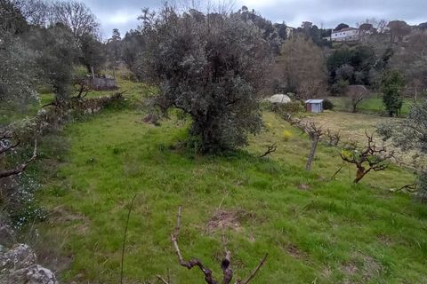 Villa i Mangualde, Viseu, Mangualde - € 30.000 | Ref: Q40 - foto 30