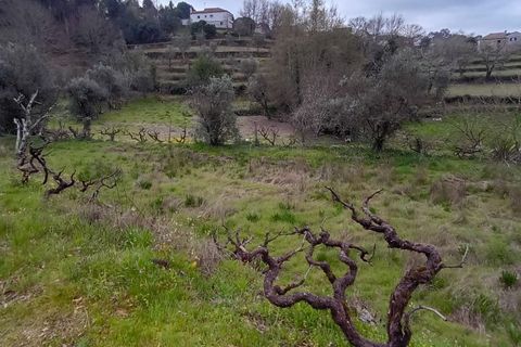 Villa i Mangualde, Viseu, Mangualde - € 30.000 | Ref: Q40 - foto 31