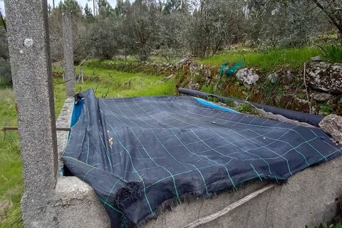 Villa i Mangualde, Viseu, Mangualde - € 30.000 | Ref: Q40 - foto 32