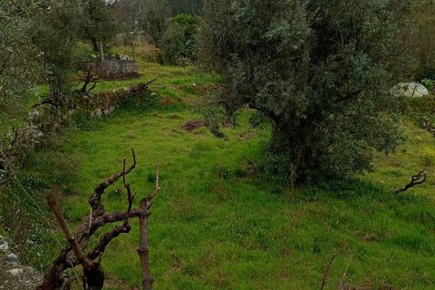 Villa i Mangualde, Viseu, Mangualde - € 30.000 | Ref: Q40 - foto 35