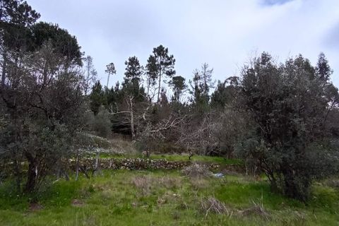 Villa i Mangualde, Viseu, Mangualde - € 30.000 | Ref: Q40 - foto 36