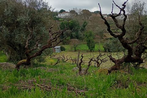 Villa i Mangualde, Viseu, Mangualde - € 30.000 | Ref: Q40 - foto 38