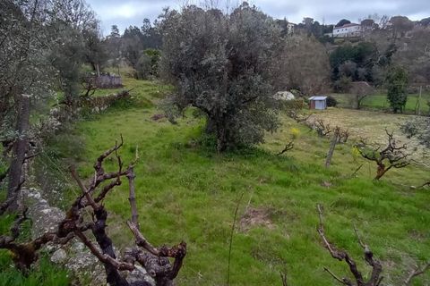 Villa i Mangualde, Viseu, Mangualde - € 30.000 | Ref: Q40 - foto 39