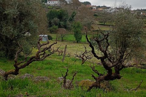 Villa i Mangualde, Viseu, Mangualde - € 30.000 | Ref: Q40 - foto 40