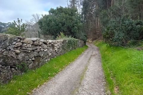 Villa i Mangualde, Viseu, Mangualde - € 30.000 | Ref: Q40 - foto 41