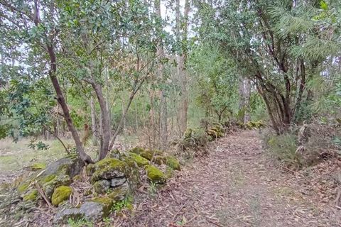 Villa i Mangualde, Viseu, Mangualde - € 30.000 | Ref: Q40 - foto 42