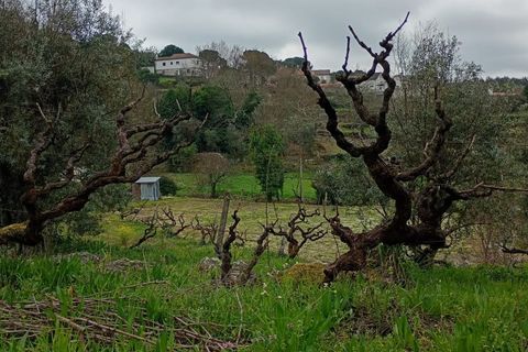 Villa i Mangualde, Viseu, Mangualde - € 30.000 | Ref: Q40 - foto 45