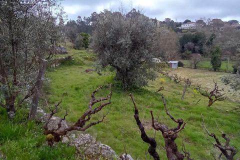 Villa i Mangualde, Viseu, Mangualde - € 30.000 | Ref: Q40 - foto 46