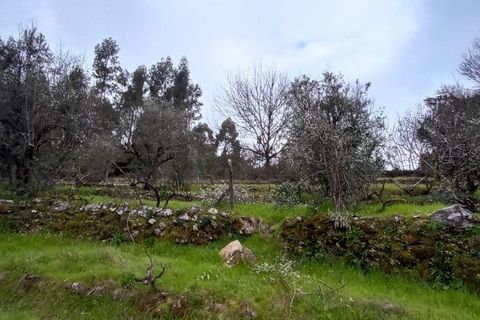 Villa i Mangualde, Viseu, Mangualde - € 30.000 | Ref: Q40 - foto 47