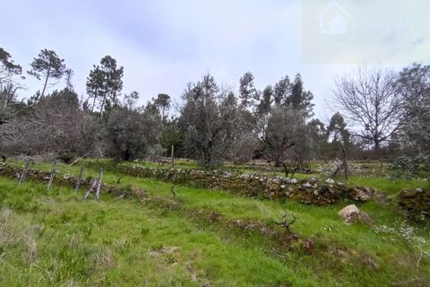 Villa i Mangualde, Viseu, Mangualde - € 30.000 | Ref: Q40 - foto 48