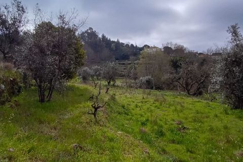 Villa i Mangualde, Viseu, Mangualde - € 30.000 | Ref: Q40 - foto 49