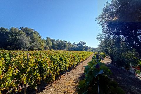 Helårsgrund i Mangualde, Viseu, Mangualde - € 13.000 | Ref: Q30.1 - foto 12