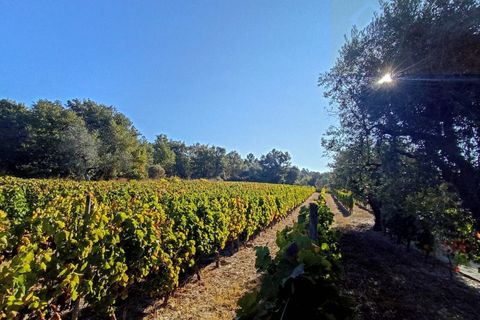 Helårsgrund i Mangualde, Viseu, Mangualde - € 13.000 | Ref: Q30.1 - foto 13