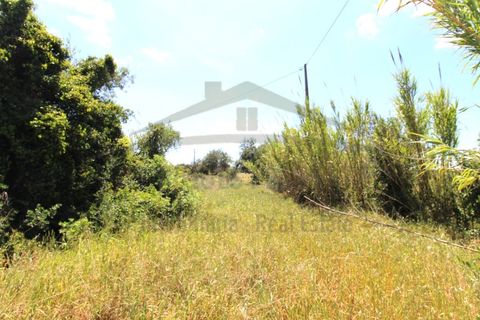 Helårsgrund i Estoi, Faro, Estoi - € 350.000 | Ref: SÒL607 - foto 8
