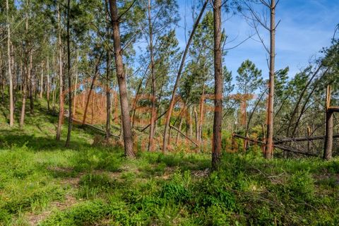 Helårsgrund i Leiria, Leiria, Leiria - € 50.000 | Ref: SAFTI:008217 - foto 1