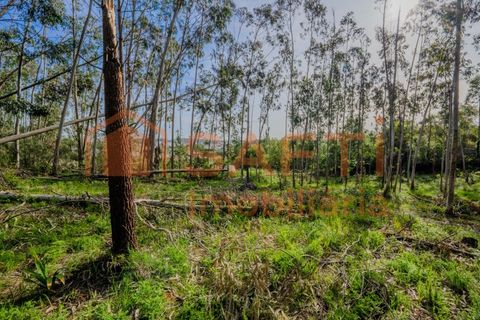 Helårsgrund i Leiria, Leiria, Leiria - € 50.000 | Ref: SAFTI:008217 - foto 2