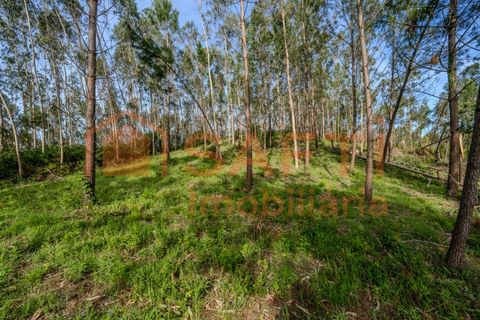 Helårsgrund i Leiria, Leiria, Leiria - € 50.000 | Ref: SAFTI:008217 - foto 3