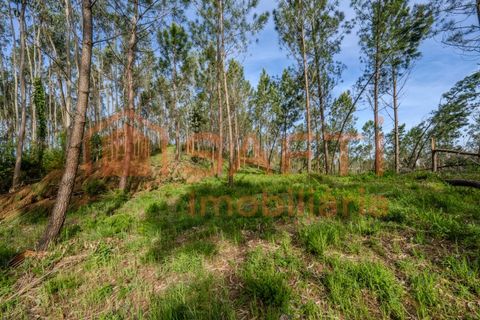 Helårsgrund i Leiria, Leiria, Leiria - € 50.000 | Ref: SAFTI:008217 - foto 4
