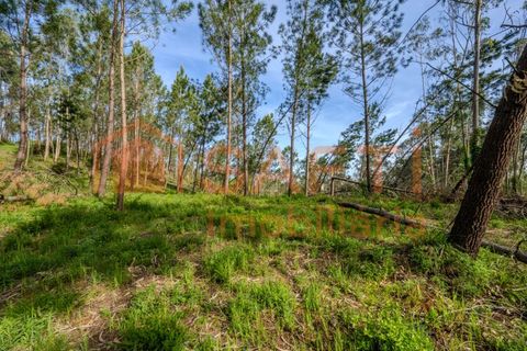 Helårsgrund i Leiria, Leiria, Leiria - € 50.000 | Ref: SAFTI:008217 - foto 5